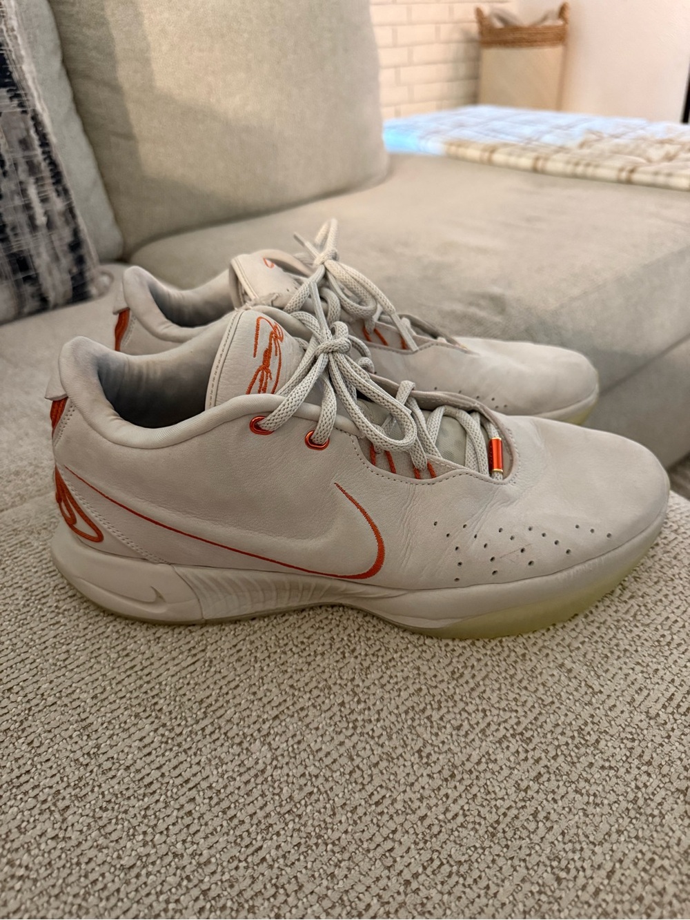 Nike LeBron